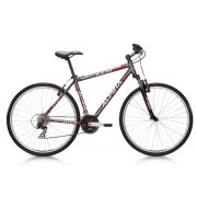 Cross-bike-ALPINA-ECO-C10
